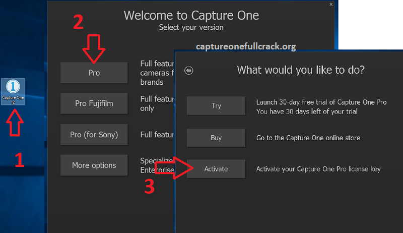 Mở Capture One 12 > chọn phiên bản (Pro) > Activate.