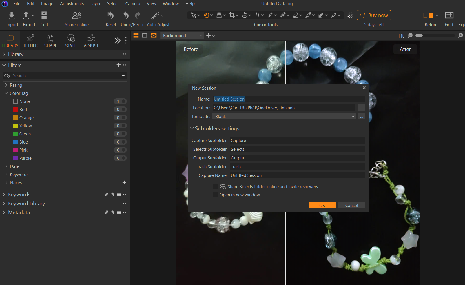 Hộp thoại tạo Session mới trong Capture One với các thư mục con mặc định.